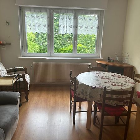 Superbe Maison 3 Chambres 1 Etage Et Sous-Sol, Avec Jardin Et Terrasse Altkirch Exterior foto